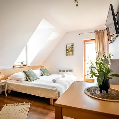 Apartament Stojakówka Kościelisko Zewnętrze zdjęcie