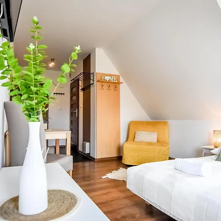 Apartament Stojakówka Kościelisko Zewnętrze zdjęcie